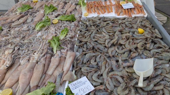 PXL_20260221_055701206