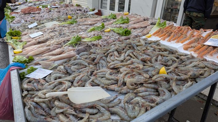 PXL_20260221_055720739.MP