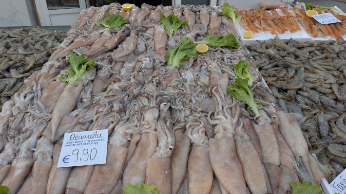 PXL_20260221_055728384.MP