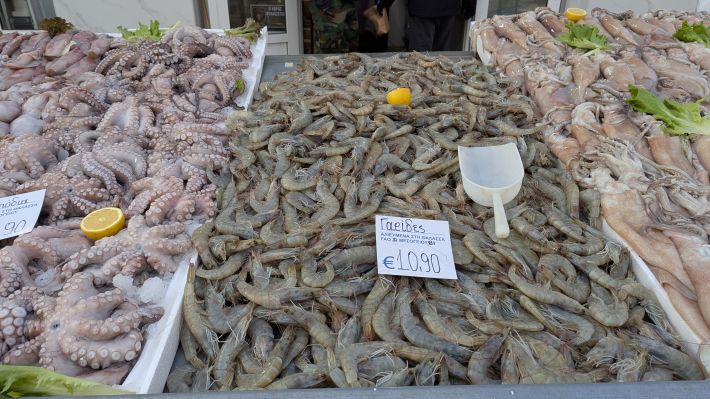 PXL_20260221_055741408.MP