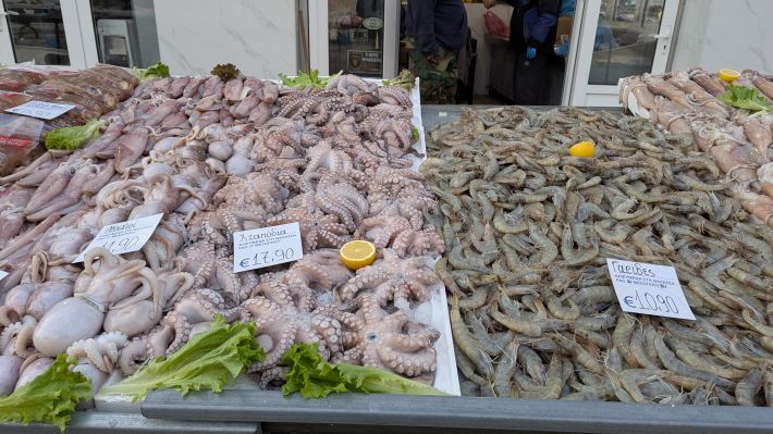 PXL_20260221_055747158.MP