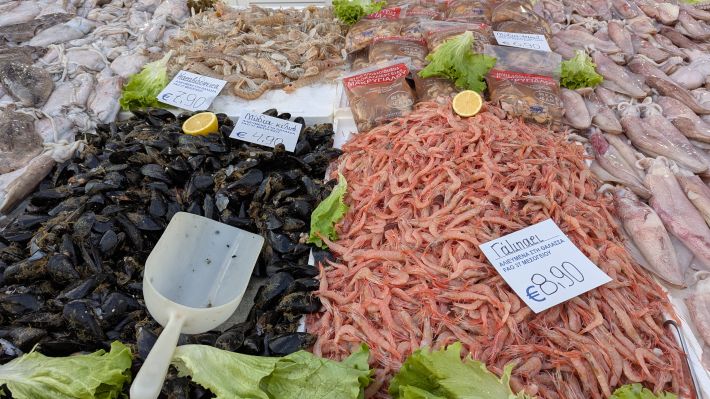 PXL_20260221_055759934.MP