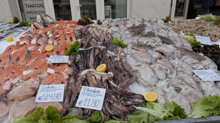 PXL_20260221_055809382.MP