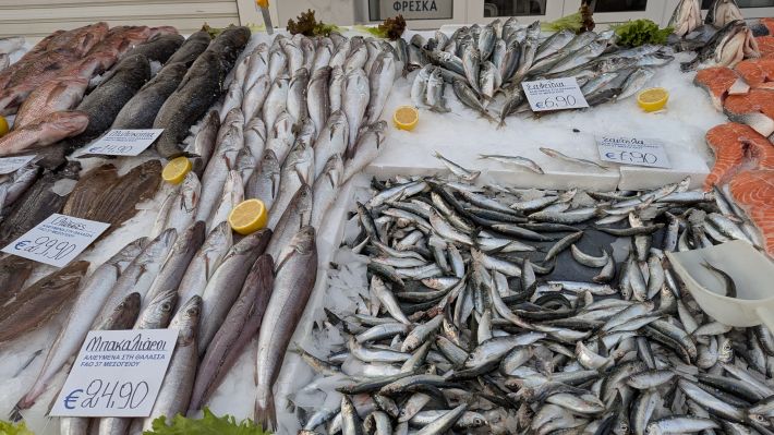 PXL_20260221_055856391.MP