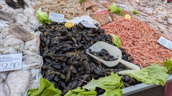 PXL_20260221_055901957.MP