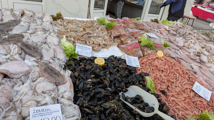 PXL_20260221_055914598.MP