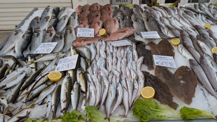 PXL_20260221_055922954.MP