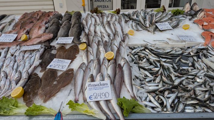 PXL_20260221_055931722.MP