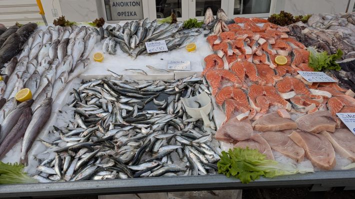 PXL_20260221_055935742.MP