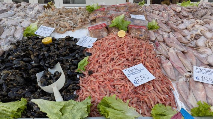 PXL_20260221_055959076