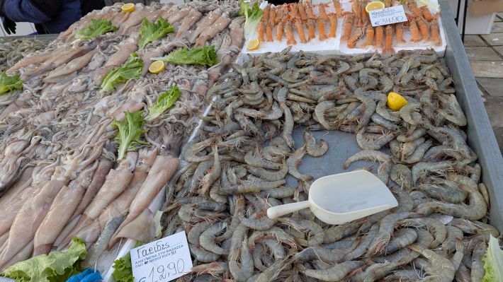 PXL_20260221_060133408