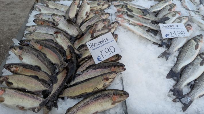 PXL_20260221_060206213.MP