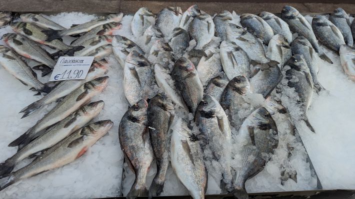 PXL_20260221_060211870