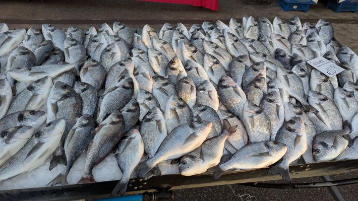 PXL_20260221_060218325