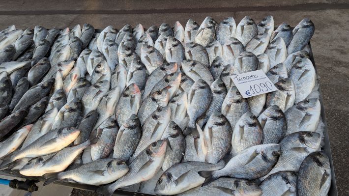 PXL_20260221_060223468