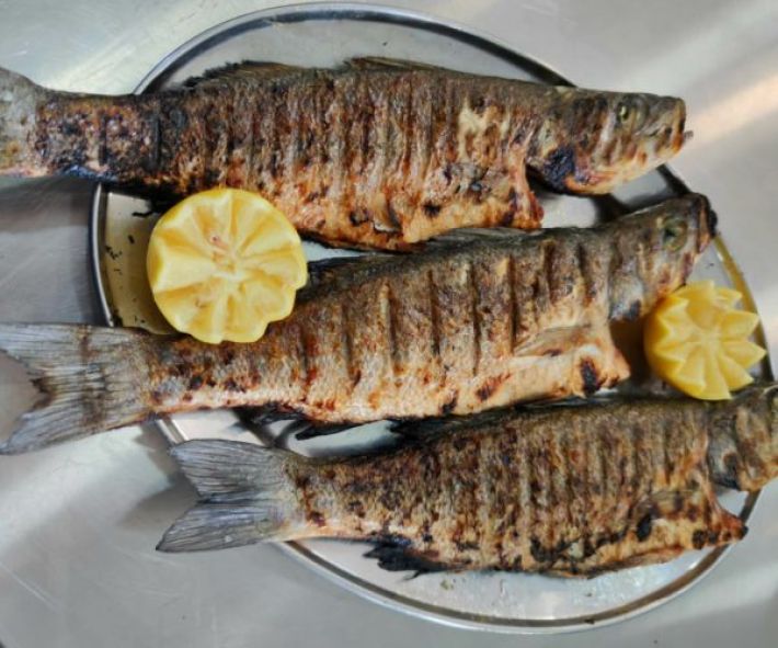 layrakia-psita-argyronisos-oyp0rle2j4lj47bc0rxugk8ssd7vix45eyn6adlz0o