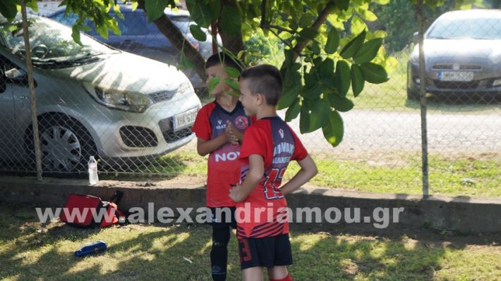 www.alexandriamou.gr_5o_tilemaxoi_lixi2025DSC01835