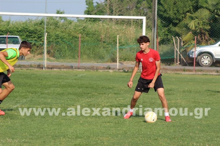 www.alexandriamou.gr_5o_tilemaxoi_lixi2025IMG_1877