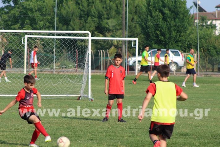 www.alexandriamou.gr_5o_tilemaxoi_lixi2025IMG_1887