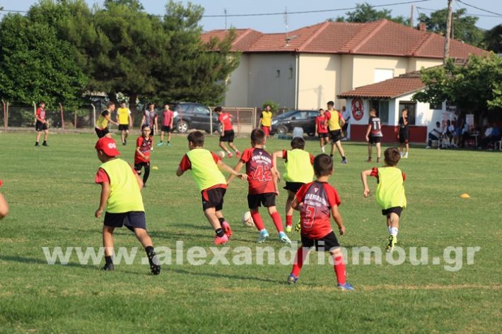 www.alexandriamou.gr_5o_tilemaxoi_lixi2025IMG_1889