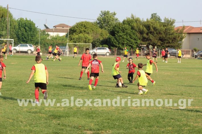 www.alexandriamou.gr_5o_tilemaxoi_lixi2025IMG_1891