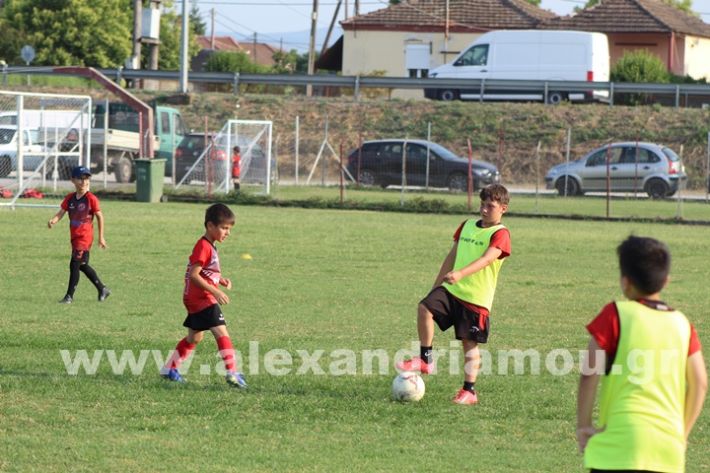 www.alexandriamou.gr_5o_tilemaxoi_lixi2025IMG_1905