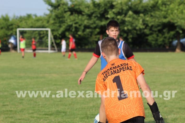 www.alexandriamou.gr_5o_tilemaxoi_lixi2025IMG_1907