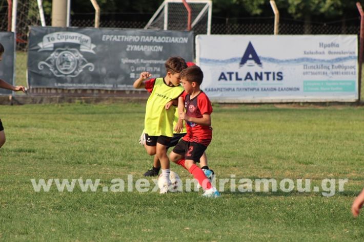 www.alexandriamou.gr_5o_tilemaxoi_lixi2025IMG_1914