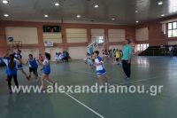 dhmotika_basket02