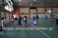 dhmotika_basket03