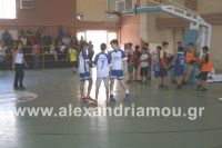 dhmotika_basket04