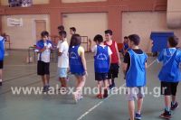 dhmotika_basket05