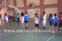 dhmotika_basket06