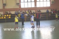 dhmotika_basket07