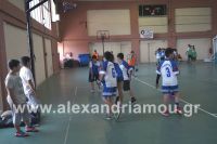 dhmotika_basket09