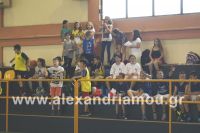 dhmotika_basket18