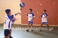 dhmotika_basket19