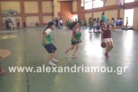 dhmotika_basket23