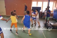 dhmotika_basket25