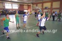 dhmotika_basket28
