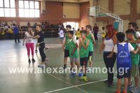 dhmotika_basket29