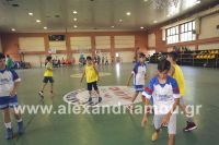 dhmotika_basket33