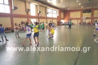 dhmotika_basket34