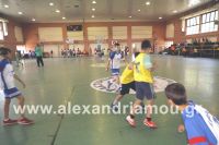 dhmotika_basket35