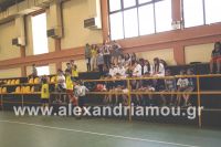 dhmotika_basket37