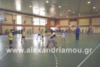 dhmotika_basket38