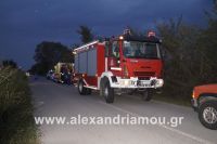 alexandriamou_amfitheatro18.090015