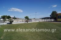 trikala_gymnasio_a16