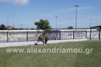 trikala_gymnasio_a17