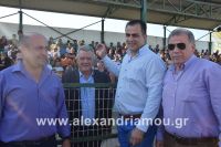 alexandriamou_trikala_a.e2016025